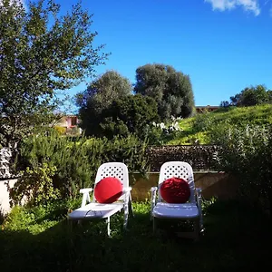 https://sunny-garden-house.in-sardinia.net